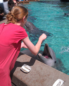Sis with Dolphin