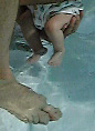 Claire's toes in the pool